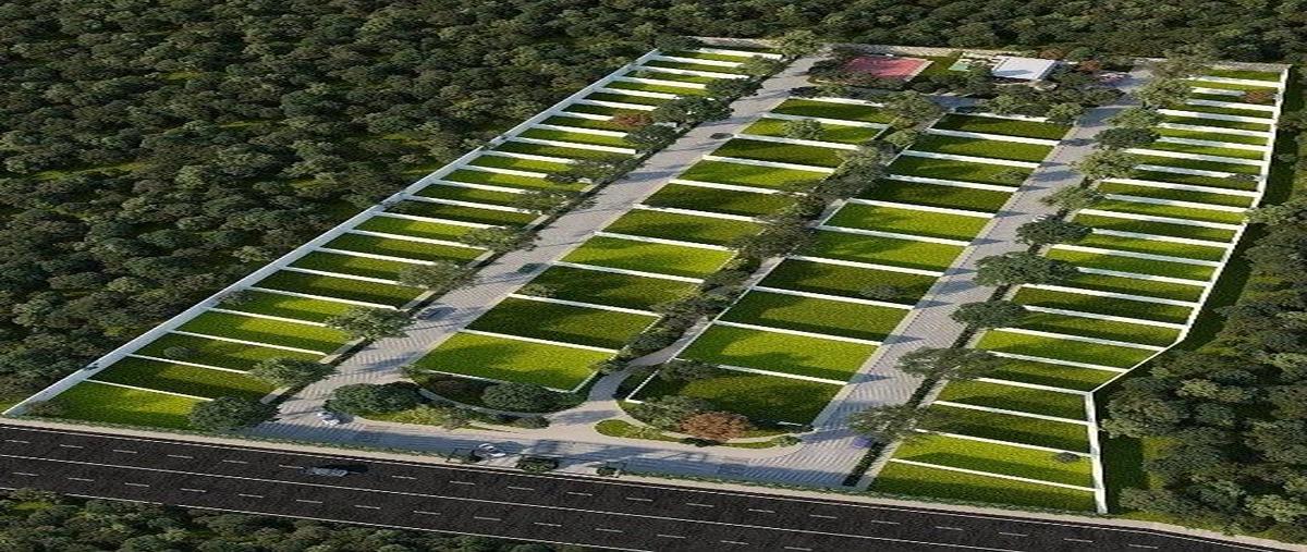 Foto de terreno habitacional en venta en  , cabo norte, mérida, yucatán, 0 No. 04