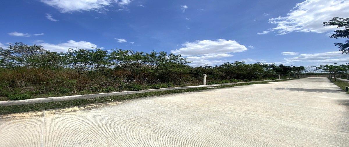 Foto de terreno habitacional en venta en  , cabo norte, mérida, yucatán, 0 No. 03