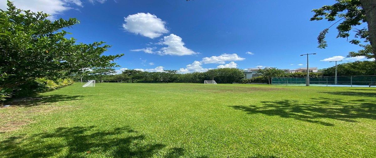 Foto de terreno habitacional en venta en  , cabo norte, mérida, yucatán, 0 No. 05