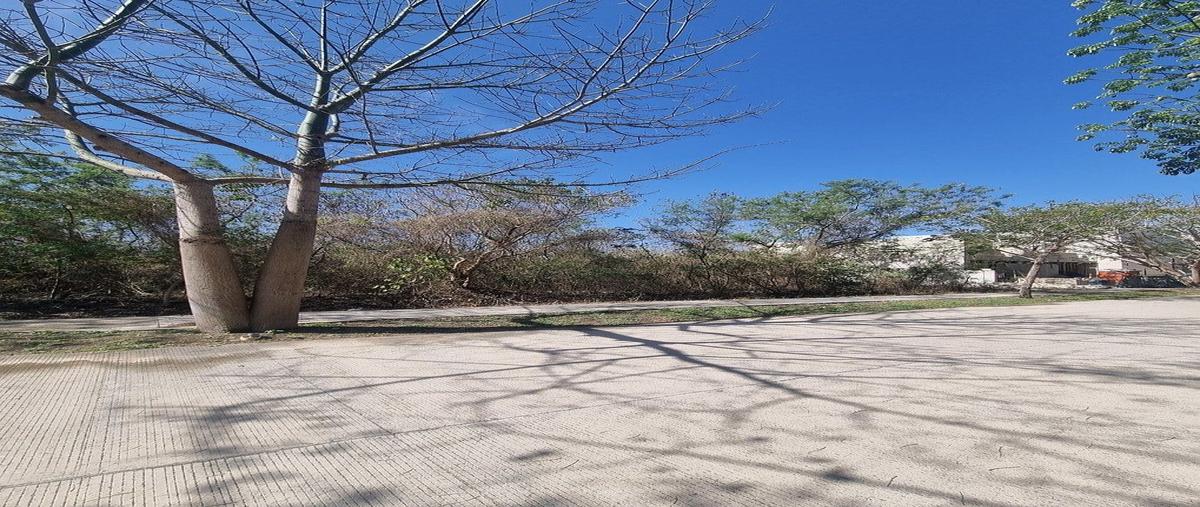 Foto de terreno habitacional en venta en  , cabo norte, mérida, yucatán, 0 No. 04