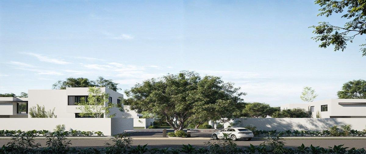 Foto de terreno habitacional en . , cabo norte, mérida, yucatán, 0 foto 04 Foto de terreno habitacional en venta en . , cabo norte, mérida, yucatán, 0 No. 04