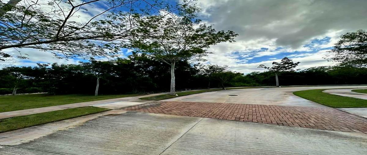 Foto de terreno habitacional en venta en  , cabo norte, mérida, yucatán, 0 No. 04