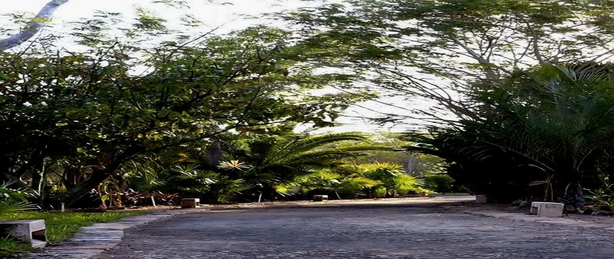 Foto de terreno habitacional en venta en  , cabo norte, mérida, yucatán, 0 No. 05