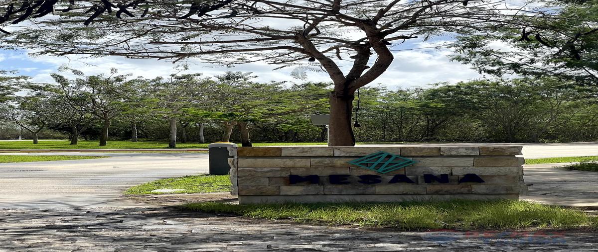 Foto de terreno habitacional en venta en cabo norte , santa gertrudis copo, mérida, yucatán, 25978029 No. 02