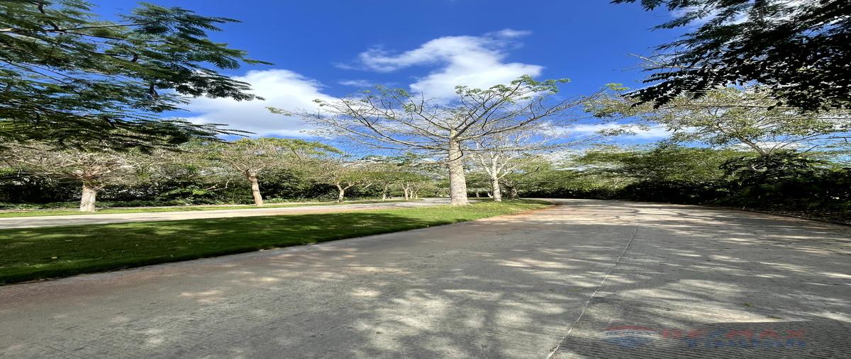 Foto de terreno habitacional en venta en cabo norte , santa gertrudis copo, mérida, yucatán, 25978029 No. 05