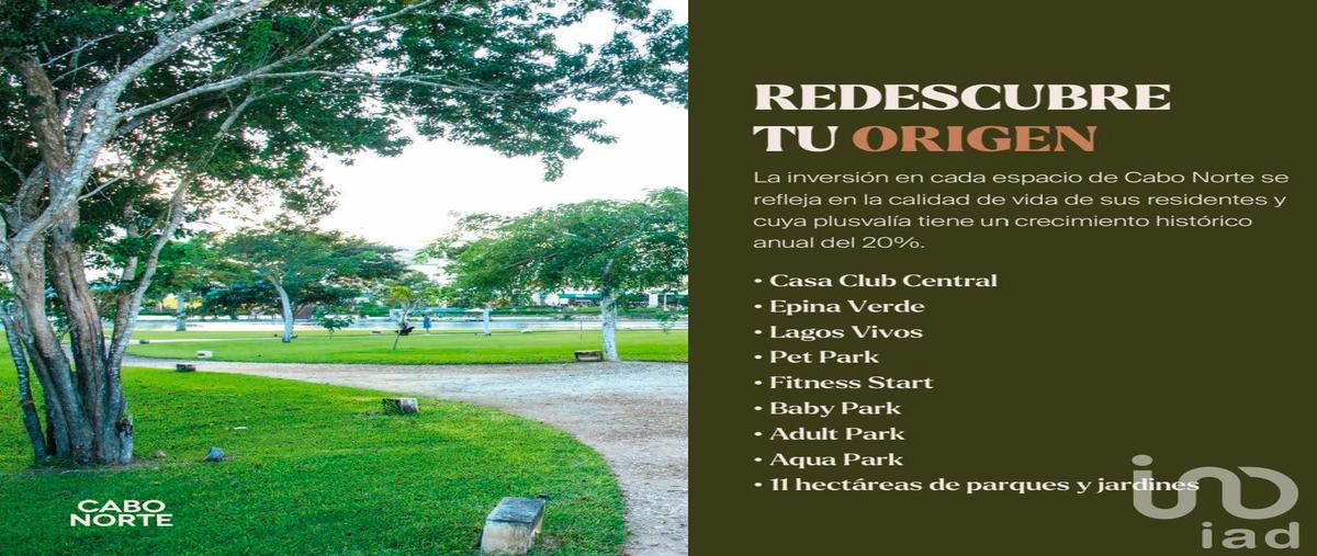 Foto de terreno habitacional en venta en cabo san lorenzo 123, cabo norte, mérida, yucatán, 28722548 No. 05