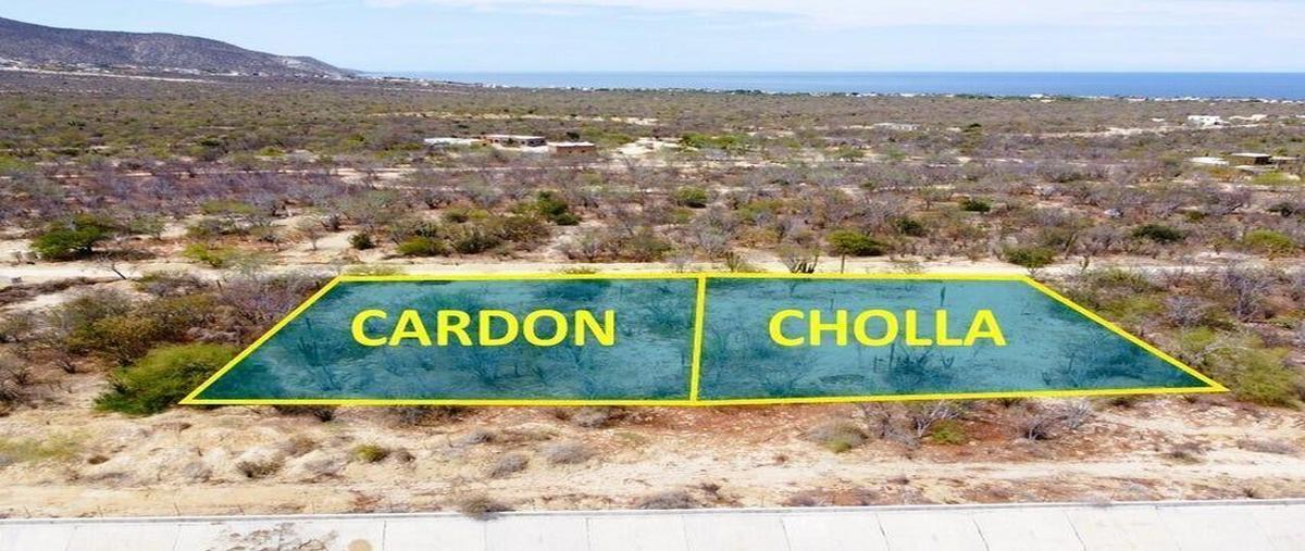 Foto de terreno habitacional en venta en  , cabo san lucas centro, los cabos, baja california sur, 26948986 No. 01