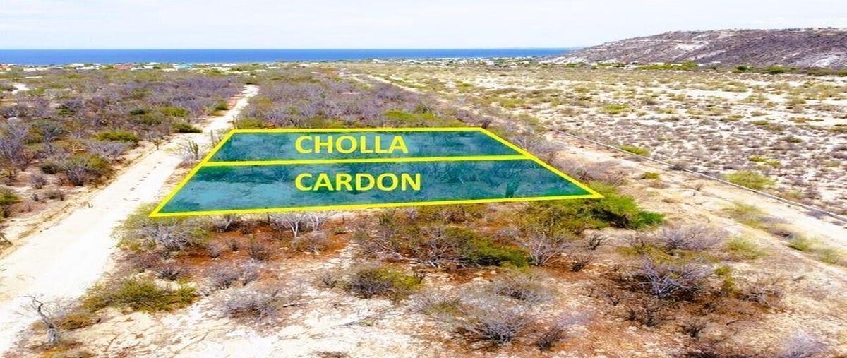 Foto de terreno habitacional en venta en  , cabo san lucas centro, los cabos, baja california sur, 26948986 No. 02