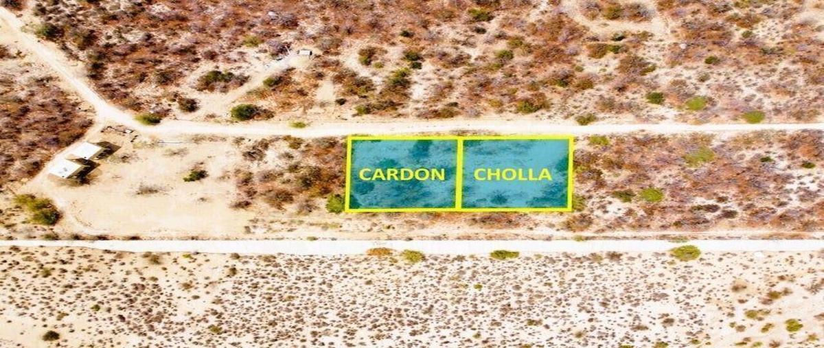 Foto de terreno habitacional en venta en  , cabo san lucas centro, los cabos, baja california sur, 26948986 No. 05