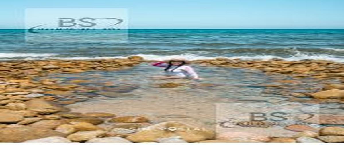 Foto de terreno habitacional en venta en  , cabo san lucas centro, los cabos, baja california sur, 0 No. 05
