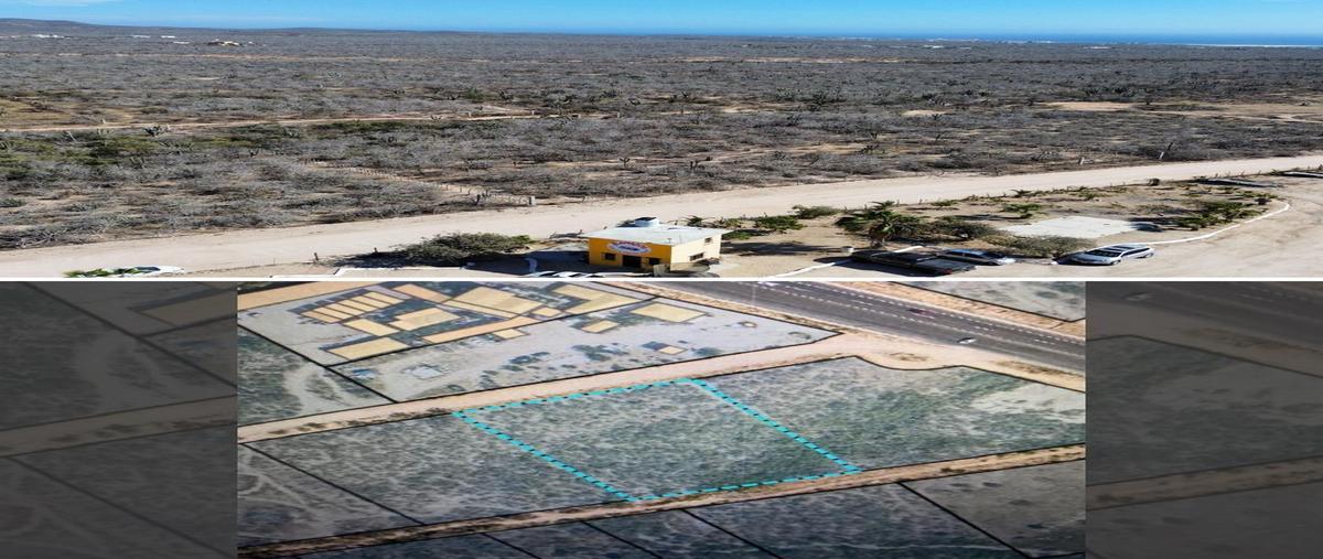 Foto de terreno habitacional en venta en  , cabo san lucas centro, los cabos, baja california sur, 0 No. 05