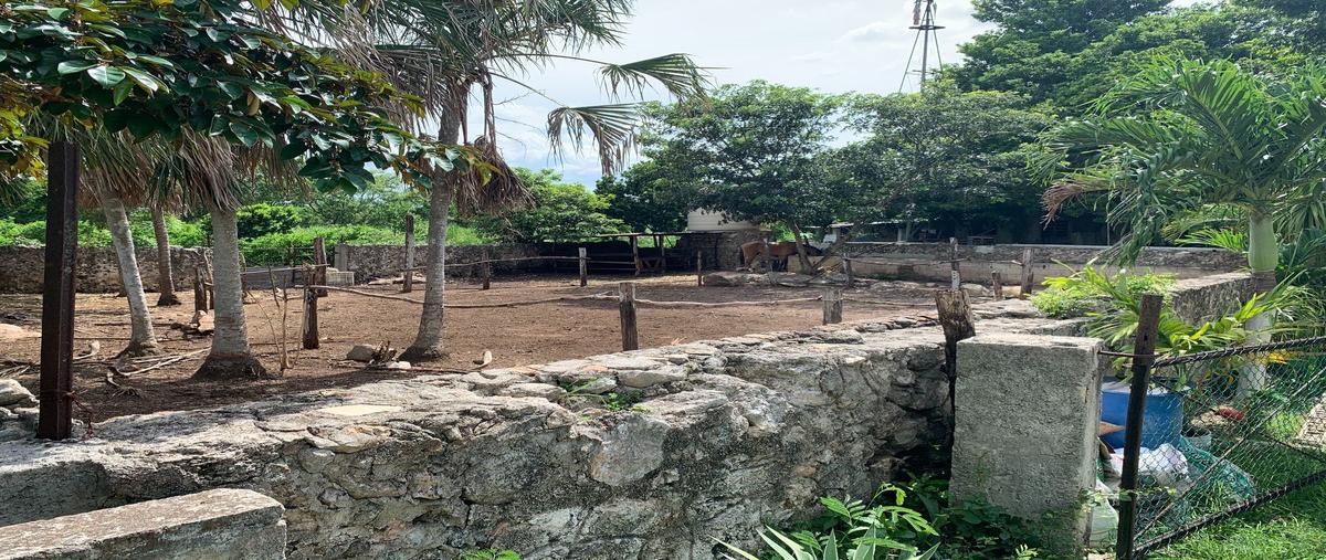 Foto de rancho en venta en cacalchen , cacalchen, cacalchén, yucatán, 19043663 No. 03