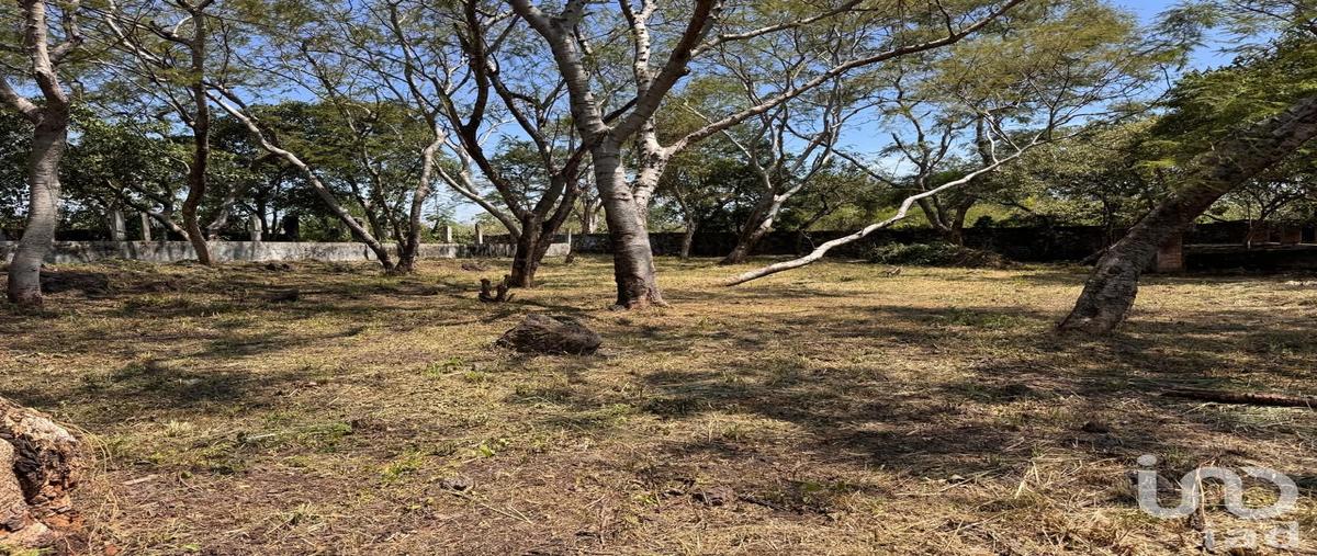 Foto de terreno habitacional en venta en cacaloapan , tehuixcorral (colonia san martín caballero), tepoztlán, morelos, 0 No. 03