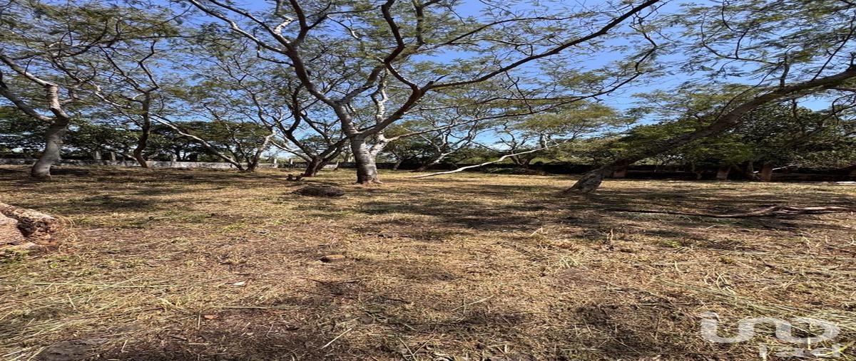 Foto de terreno habitacional en venta en cacaloapan , tehuixcorral (colonia san martín caballero), tepoztlán, morelos, 0 No. 04