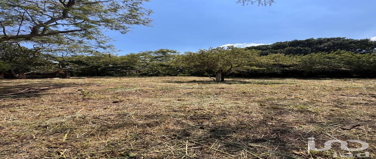 Foto de terreno habitacional en venta en cacaloapan , tehuixcorral (colonia san martín caballero), tepoztlán, morelos, 0 No. 05