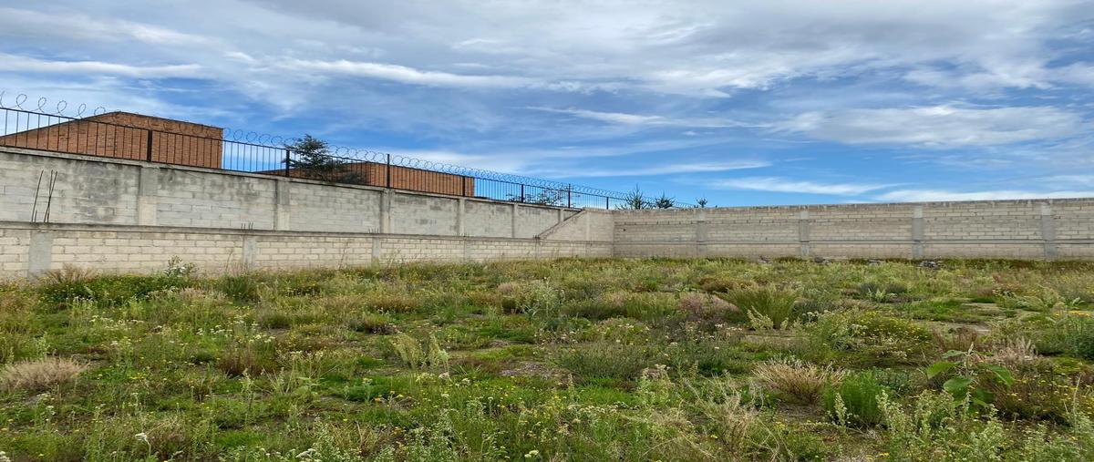 Foto de terreno habitacional en venta en  , cacalomacán, toluca, méxico, 28557219 No. 03