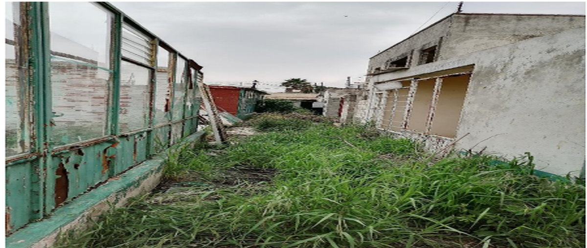 Foto de local en venta en cadena , tlalmanalco, tlalmanalco, méxico, 28602746 No. 14