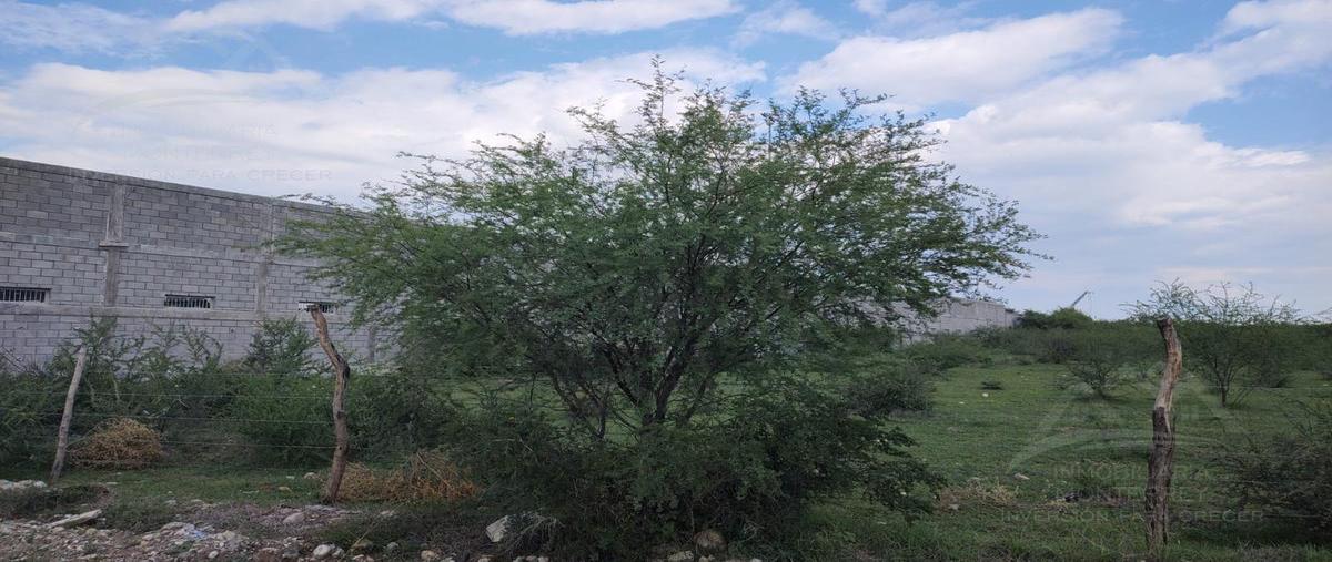 Foto de terreno habitacional en venta en  , cadereyta, cadereyta jiménez, nuevo león, 25578650 No. 05