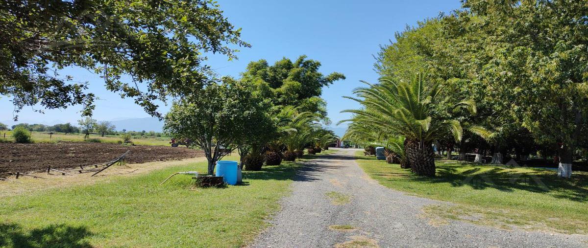 Foto de terreno habitacional en venta en  , cadereyta, cadereyta jiménez, nuevo león, 25605960 No. 03