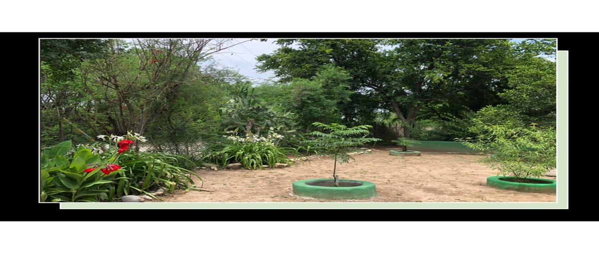 Foto de rancho en venta en  , cadereyta, cadereyta jiménez, nuevo león, 0 No. 03