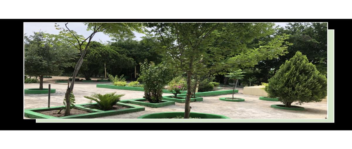 Foto de rancho en venta en  , cadereyta, cadereyta jiménez, nuevo león, 0 No. 04