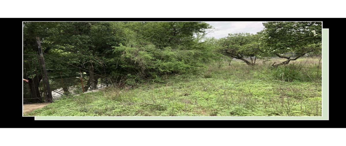 Foto de rancho en venta en  , cadereyta, cadereyta jiménez, nuevo león, 0 No. 05
