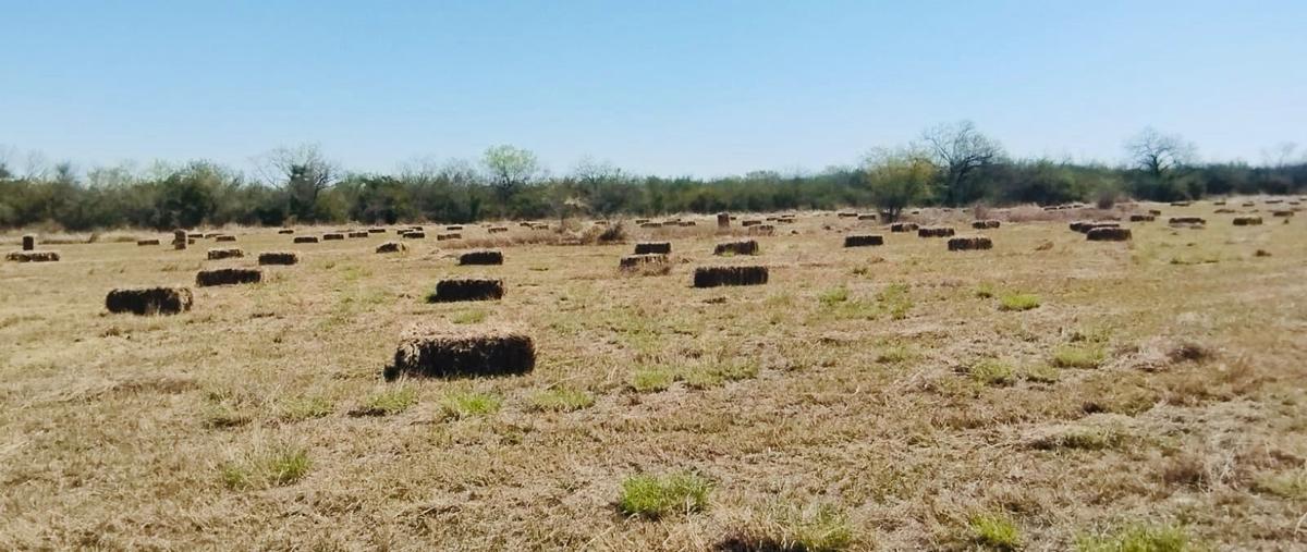 Foto de rancho en venta en  , cadereyta, cadereyta jiménez, nuevo león, 29364577 No. 04