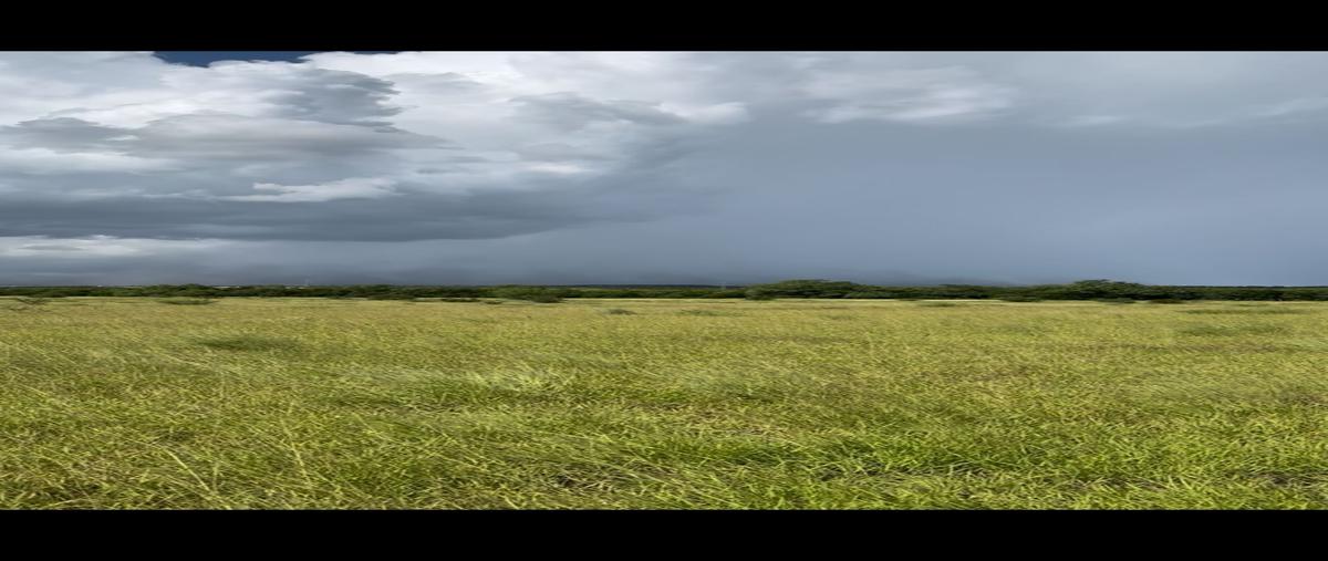 Foto de rancho en venta en  , cadereyta, cadereyta jiménez, nuevo león, 29364577 No. 05