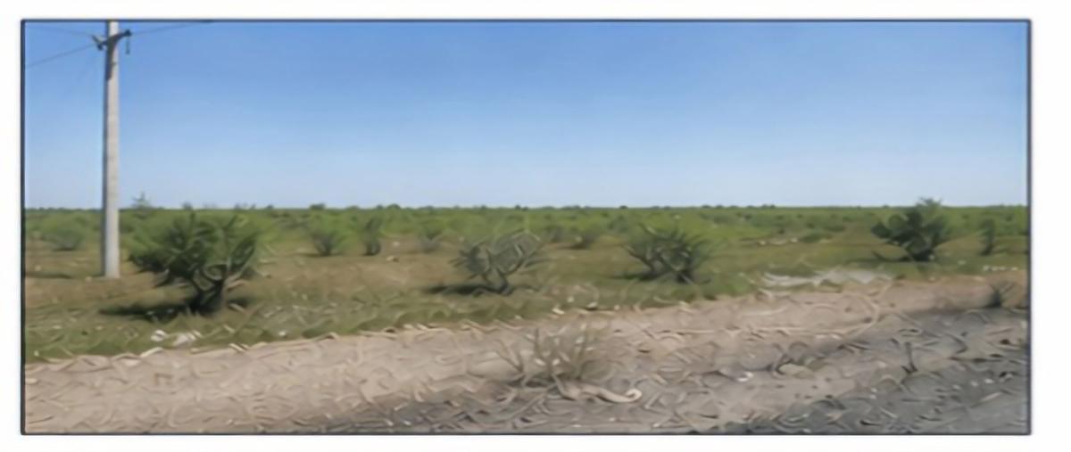 Foto de terreno habitacional en venta en  , cadereyta, cadereyta jiménez, nuevo león, 0 No. 03