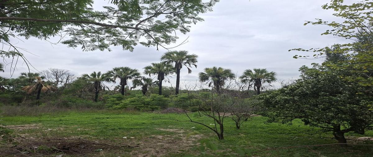 Foto de terreno habitacional en venta en  , cadereyta, cadereyta jiménez, nuevo león, 0 No. 04