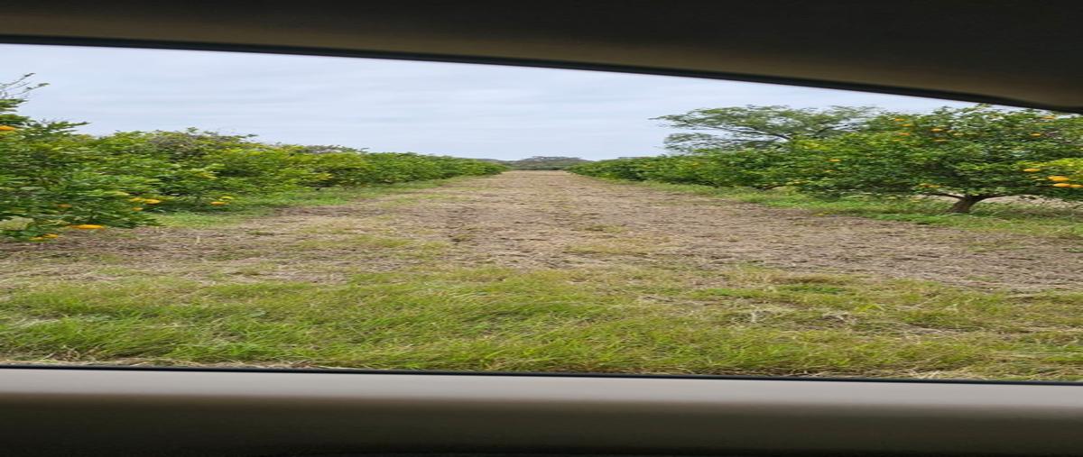 Foto de terreno habitacional en venta en  , cadereyta, cadereyta jiménez, nuevo león, 0 No. 03