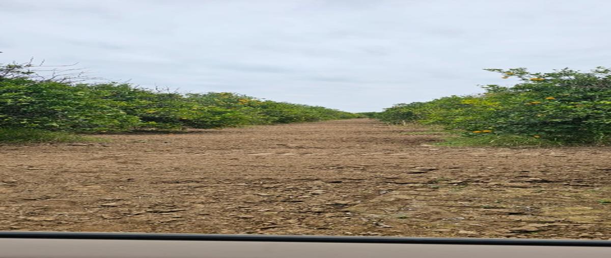 Foto de terreno habitacional en venta en  , cadereyta, cadereyta jiménez, nuevo león, 0 No. 04