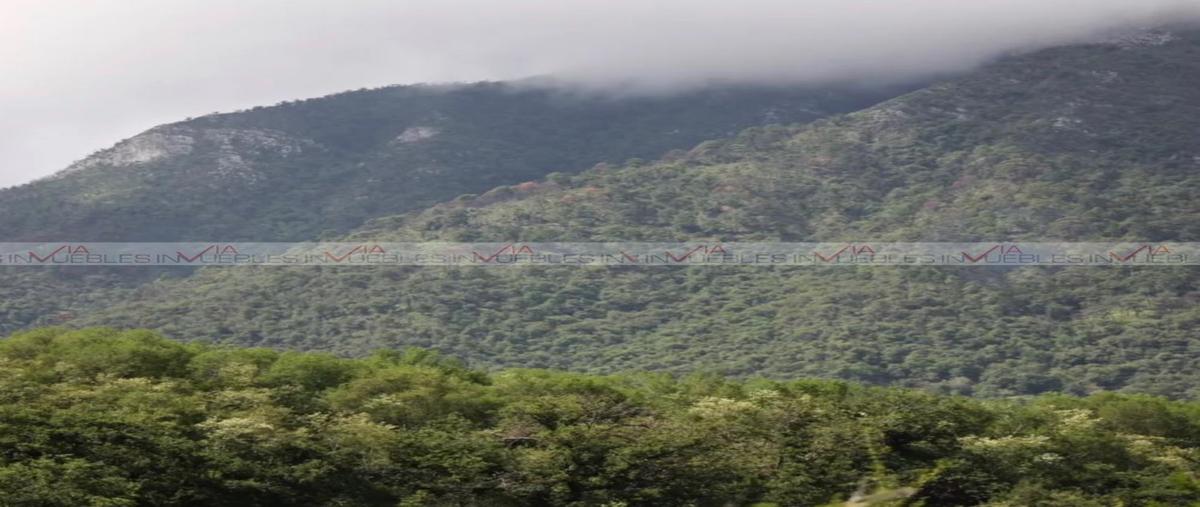 Foto de terreno comercial en venta en  , cadereyta jimenez centro, cadereyta jiménez, nuevo león, 26961802 No. 04