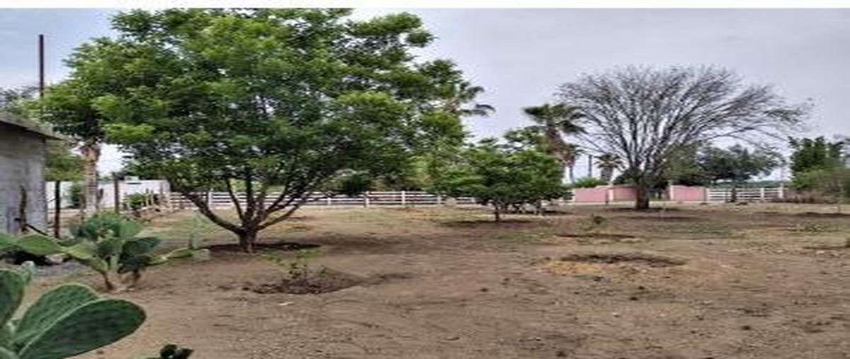Foto de terreno habitacional en venta en  , cadereyta jimenez centro, cadereyta jiménez, nuevo león, 0 No. 05