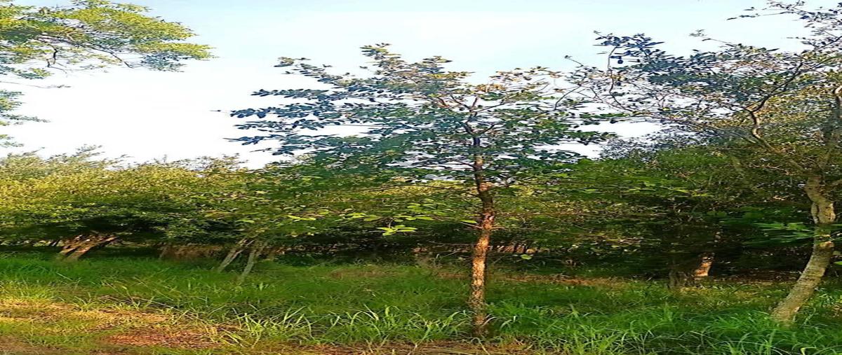 Foto de rancho en venta en  , cadereyta jimenez centro, cadereyta jiménez, nuevo león, 30099432 No. 01