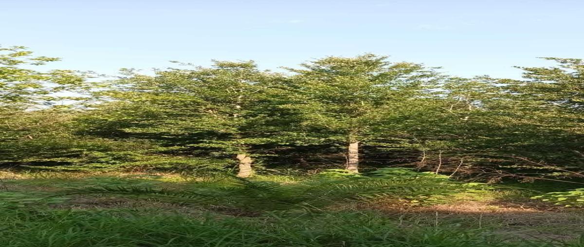 Foto de rancho en venta en  , cadereyta jimenez centro, cadereyta jiménez, nuevo león, 30099432 No. 05