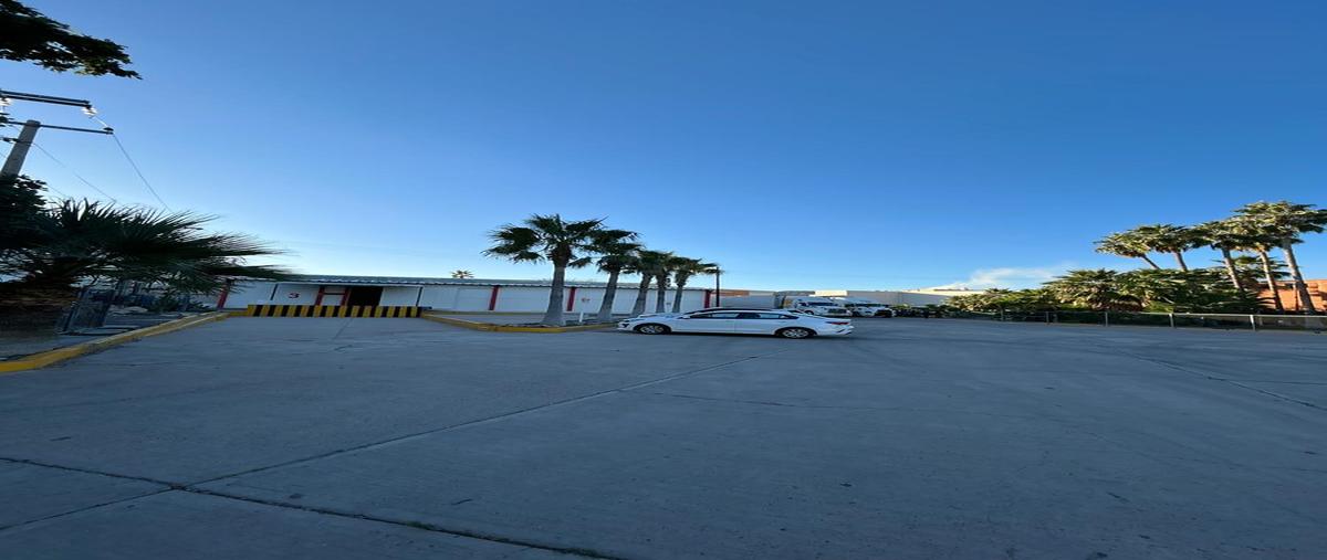 Foto de bodega en renta en  , café combate, hermosillo, sonora, 0 No. 05