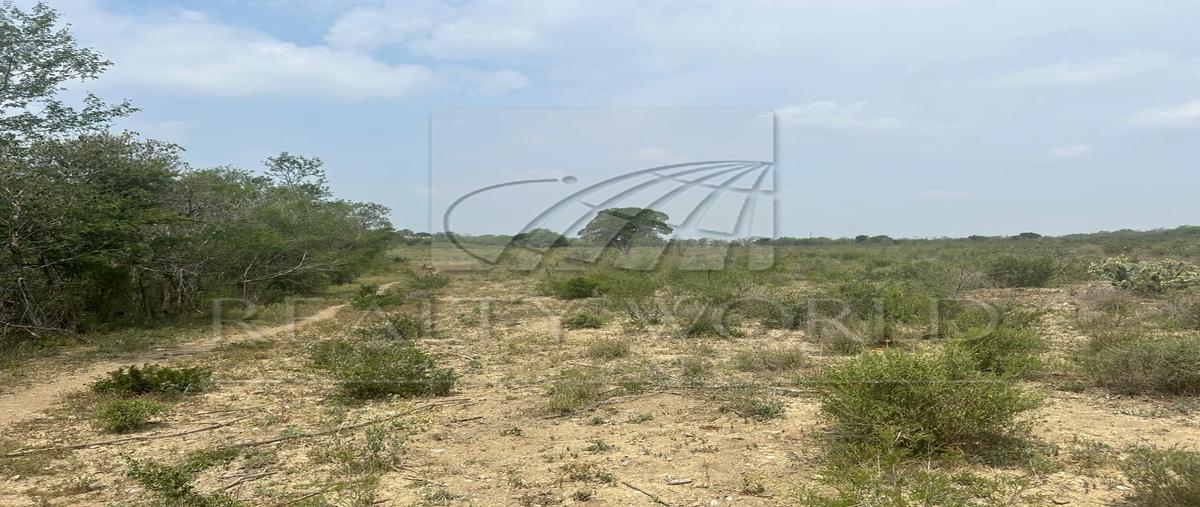 Foto de rancho en , caja pinta, linares, nuevo león, 28073876 foto 04 Foto de rancho en venta en , caja pinta, linares, nuevo león, 28073876 No. 04