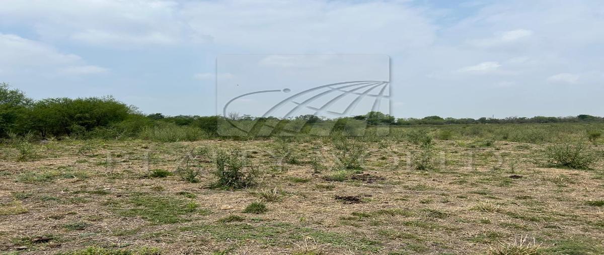 Foto de rancho en , caja pinta, linares, nuevo león, 28073876 foto 05 Foto de rancho en venta en , caja pinta, linares, nuevo león, 28073876 No. 05