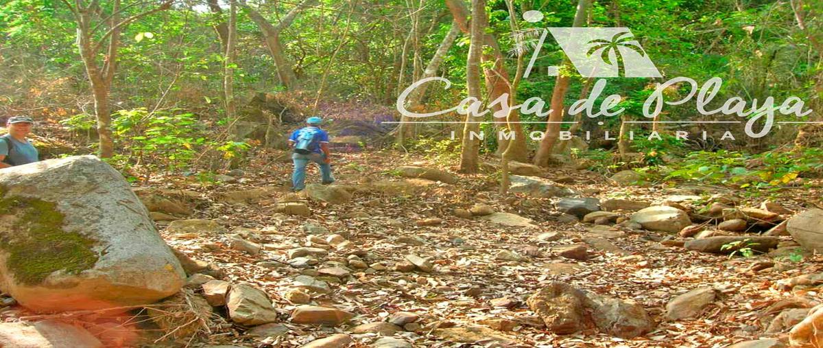 Foto de terreno habitacional en venta en  , cajelitos, chilpancingo de los bravo, guerrero, 0 No. 03