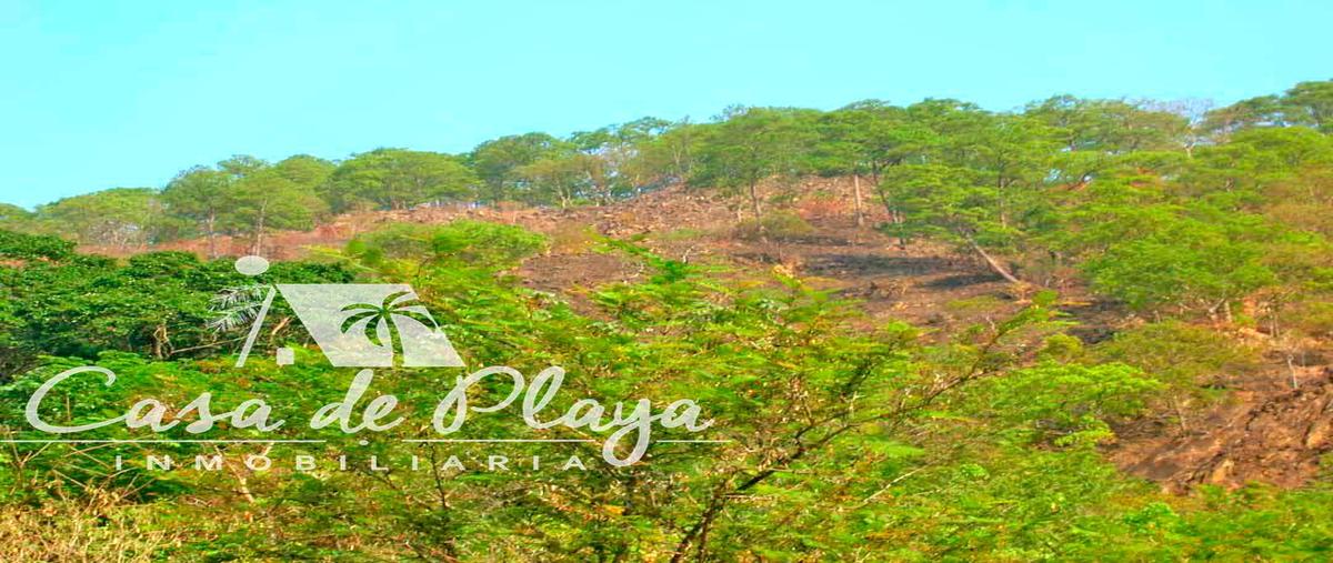 Foto de terreno habitacional en venta en  , cajelitos, chilpancingo de los bravo, guerrero, 0 No. 04