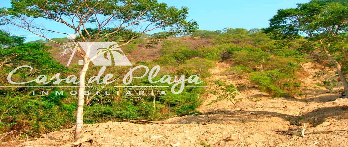 Foto de terreno habitacional en venta en  , cajelitos, chilpancingo de los bravo, guerrero, 0 No. 05