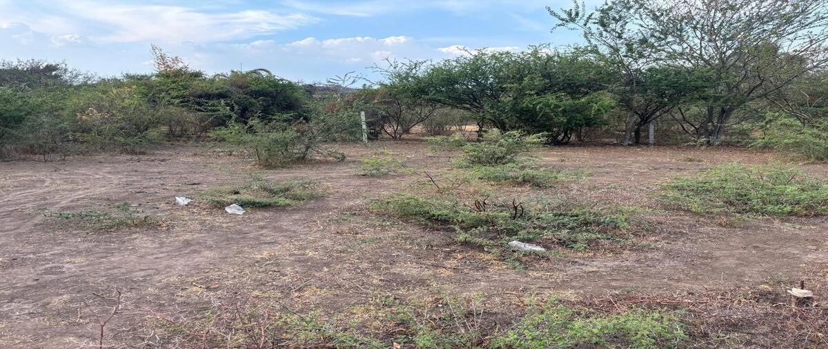 Foto de terreno habitacional en venta en  , cajititlán, tlajomulco de zúñiga, jalisco, 28748388 No. 05