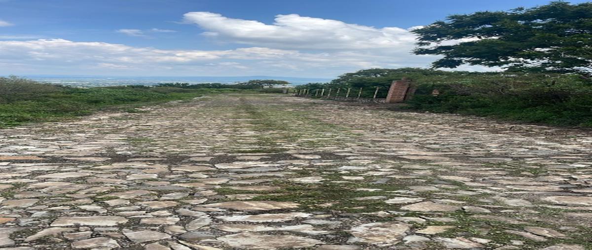 Foto de terreno habitacional en venta en  , cajititlán, tlajomulco de zúñiga, jalisco, 0 No. 03