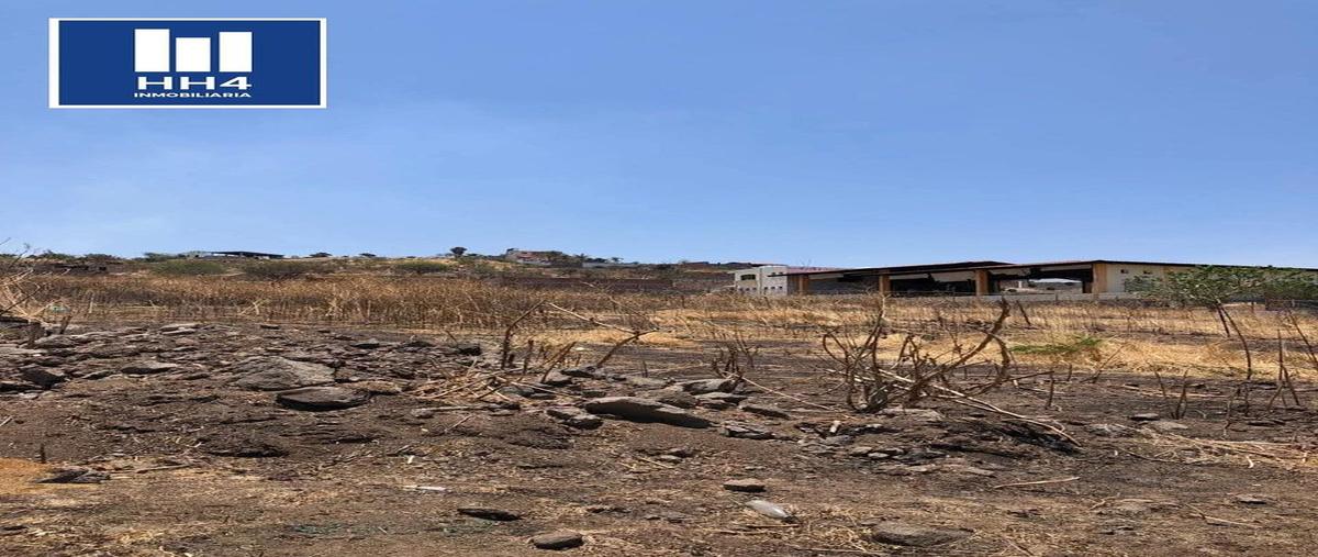 Foto de terreno habitacional en venta en  , cajititlán, tlajomulco de zúñiga, jalisco, 30766664 No. 03