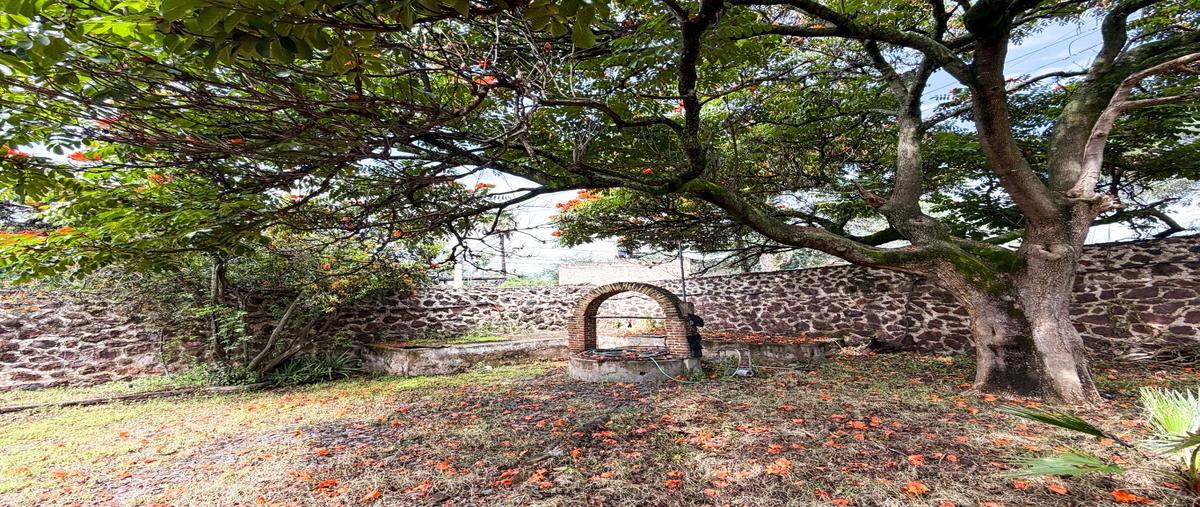 Foto de rancho en , cajititlán, tlajomulco de zúñiga, jalisco, 0 foto 05 Foto de rancho en venta en , cajititlán, tlajomulco de zúñiga, jalisco, 0 No. 05