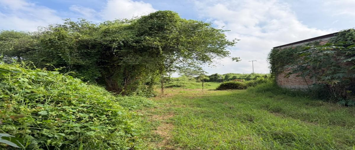 Foto de terreno habitacional en venta en  , cajititlán, tlajomulco de zúñiga, jalisco, 0 No. 03