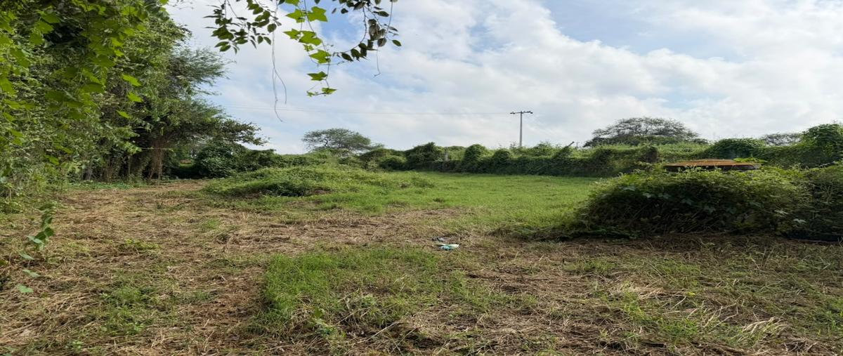 Foto de terreno habitacional en venta en  , cajititlán, tlajomulco de zúñiga, jalisco, 0 No. 04
