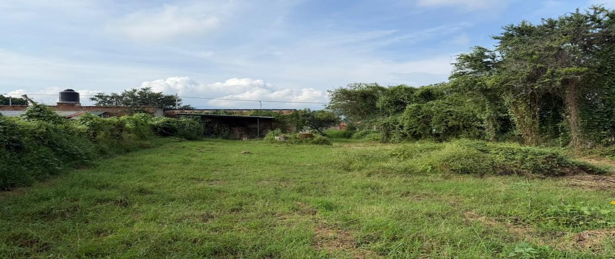 Foto de terreno habitacional en venta en  , cajititlán, tlajomulco de zúñiga, jalisco, 0 No. 05