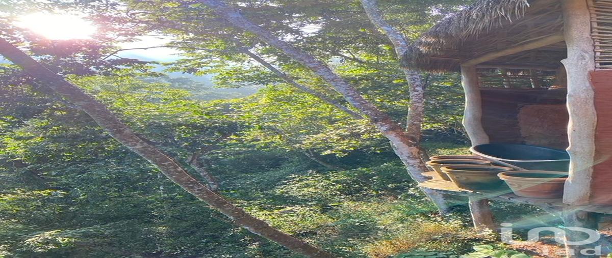 Foto de terreno habitacional en cajon de peñas , presa cajón de peña (la presa), tomatlán, jalisco, 28720119 foto 03 Foto de terreno habitacional en venta en cajon de peñas , presa cajón de peña (la presa), tomatlán, jalisco, 28720119 No. 03